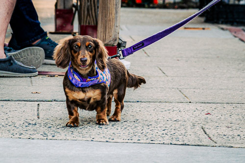 Tarrytown, NY - Jun 2024